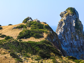 国境の島　対馬の歴史探訪と感動の壱岐たっぷり観光　３日間