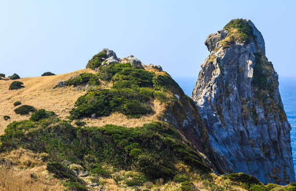 国境の島　対馬の歴史探訪と感動の壱岐たっぷり観光　３日間