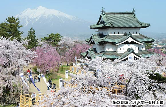 一度は行きたいみちのく三大桜と世界遺産「中尊寺」　４日間