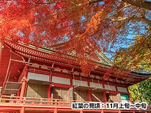 鮮やかな紅葉が織り成す洛北・大原の名刹と比叡山の絶景　３日間