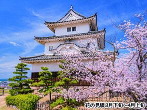 【会員限定】現存天守が残る四国の名城と桜の競演　３日間