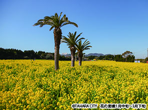 【会員限定】日本三大稲荷「豊川稲荷」と伊勢神宮参拝　２日間