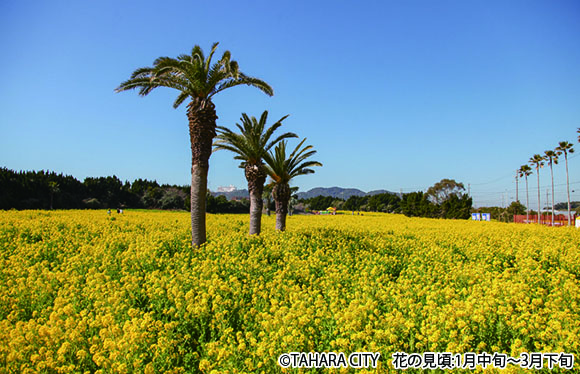 【会員限定】日本三大稲荷「豊川稲荷」と伊勢神宮参拝　２日間