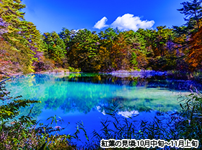 【会員限定】鳴子温泉郷と高湯音泉「旅館玉子湯」に泊まる　３日間