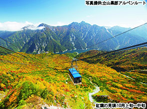 【会員限定】「ホテル立山」と立山黒部アルペンルート　２日間