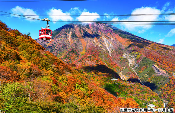 【会員限定】中禅寺湖・那須の紅葉　２日間