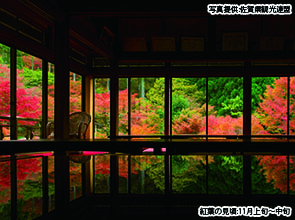 【会員限定】福岡・佐賀の紅葉８景めぐり！　２日間