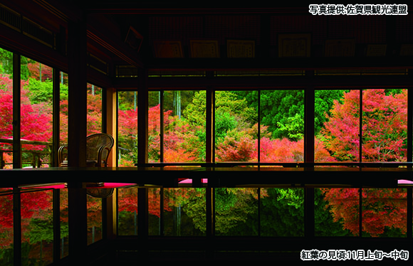 【会員限定】福岡・佐賀の紅葉８景めぐり！　２日間