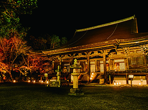 【会員限定】三井寺「夜間特別貸切拝観」と紅葉名所巡り　２日間