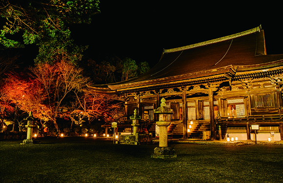 【会員限定】三井寺「夜間特別貸切拝観」と紅葉名所巡り　２日間