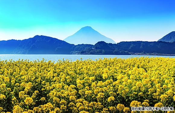 【会員限定】名湯「指宿温泉」で過ごすあったか南九州　３日間