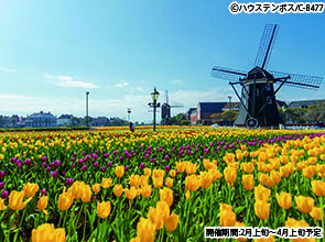 【会員限定】呼子のイカとハウステンボス　３日間