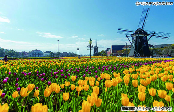 【会員限定】呼子のイカとハウステンボス　３日間