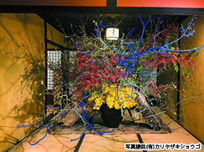 「うだつをいける」鑑賞２日間