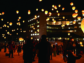 【会員限定】「津南ランランタン」「清津峡」「石川雲蝶）」　２日間