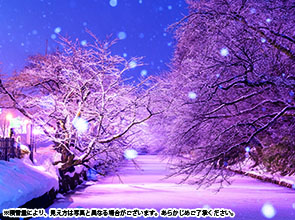 【会員限定】「冬に咲くさくらライトアップ」と「津軽ストーブ列車」　３日間