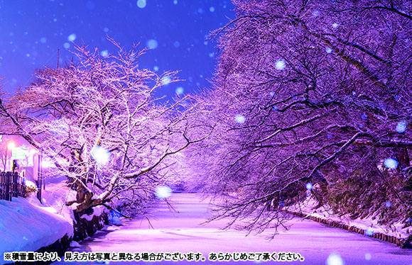 【会員限定】「冬に咲くさくらライトアップ」と「津軽ストーブ列車」　３日間