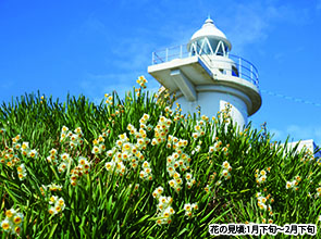 【会員限定】「羽山渓」「平家谷」「六島」瀬戸内海の絶景探訪　２日間