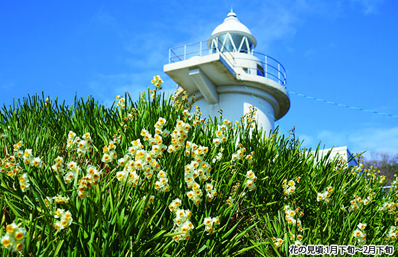 【会員限定】「羽山渓」「平家谷」「六島」瀬戸内海の絶景探訪　２日間