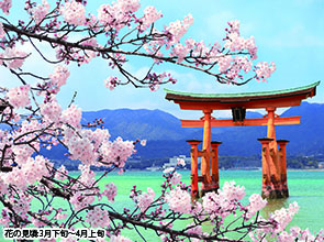 「ＳＥＡＳＰＩＣＡ」乗船　「厳島神社」と尾道「千光寺公園」２日間　