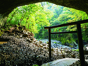 宮崎カーフェリーで行く　「高千神楽」と宮崎紀行　３日間