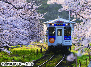 松浦鉄道と嬉野温泉の老舗旅館「大正屋」で寛ぐ　２日間