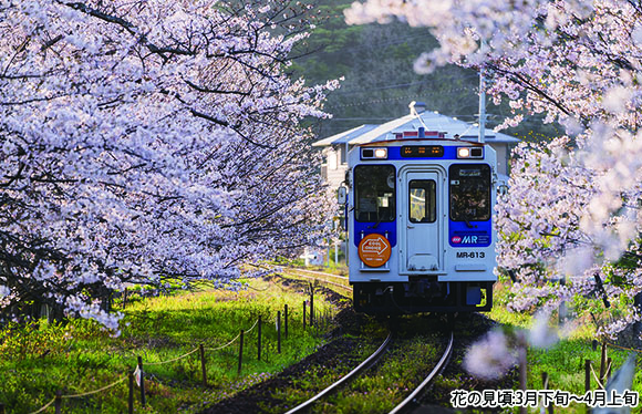 松浦鉄道と嬉野温泉の老舗旅館「大正屋」で寛ぐ　２日間
