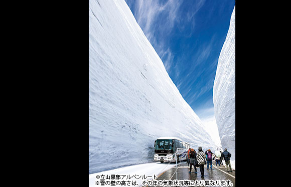 「タカトオコヒガンザクラ」と「雪の大谷」　３日間