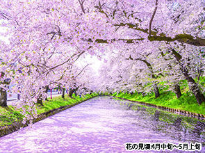 【会員限定】「北上展勝地」「角館」「弘前公園」みちのく三大桜　４日間　