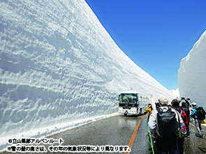 「弥陀ヶ原ホテル」に泊まる 新緑の北アルプスと「雪の大谷ウォーク」　３日間