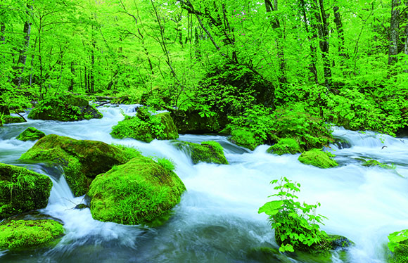 「十和田湖畔温泉」と「八幡平温泉」　３日間