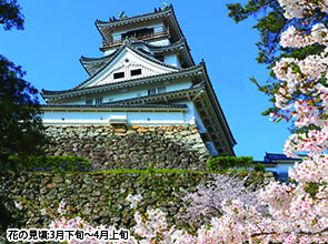 「牧野植物園」と日本１００名城・高知城　２日間