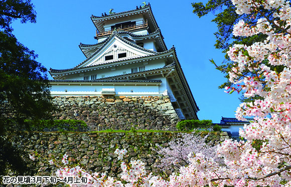 「牧野植物園」と日本１００名城・高知城　２日間
