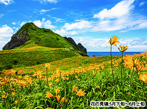 【会員限定】「佐渡金山」と幻の植物「トビシマカンゾウ」　３日間