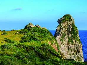 【会員限定】壱岐島周遊　２日間