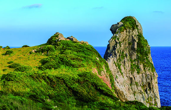 【会員限定】壱岐島周遊　２日間