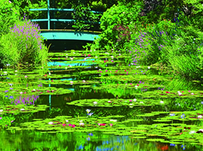 【会員限定】牧野植物園９０分・モネの庭１２０分　高知花めぐり　２日間