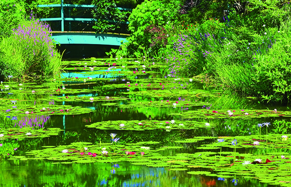【会員限定】牧野植物園９０分・モネの庭１２０分　高知花めぐり　２日間