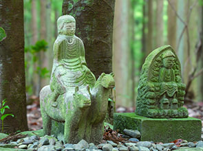 【会員限定】秘湯「十津川温泉」と熊野古道「中辺路ウォーク」２日間