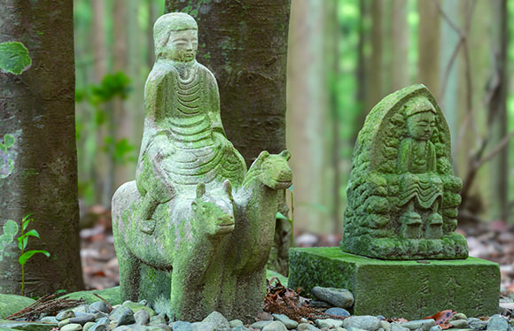 【会員限定】秘湯「十津川温泉」と熊野古道「中辺路ウォーク」２日間