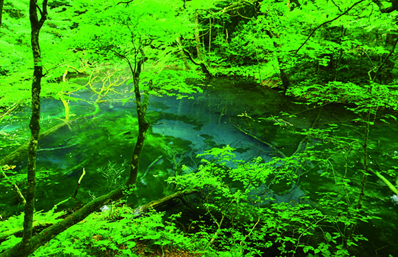 【会員限定】世界遺産白神山地と奥入瀬渓流ハイキング　３日間