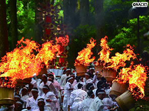 日本三大火祭「那智の扇祭り」と熊野三山巡り　２日間