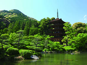 山口と北九州の美景めぐり　３日間