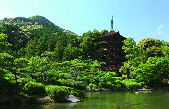 山口と北九州の美景めぐり　３日間