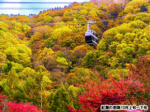 【会員限定】　駒ヶ岳・北八ヶ岳・新穂高　３つのロープウェイで絶景めぐり　３日間