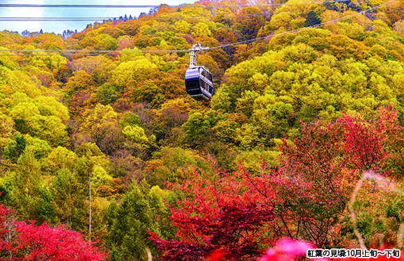 【会員限定】　駒ヶ岳・北八ヶ岳・新穂高　３つのロープウェイで絶景めぐり　３日間