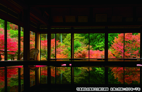 福岡・佐賀の紅葉名所めぐり　２日間