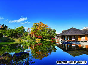 「大本山永平寺」と「養浩館庭園」　日帰り