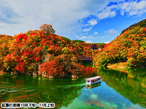 紅葉彩る光信寺と帝釈峡クルーズ　日帰り