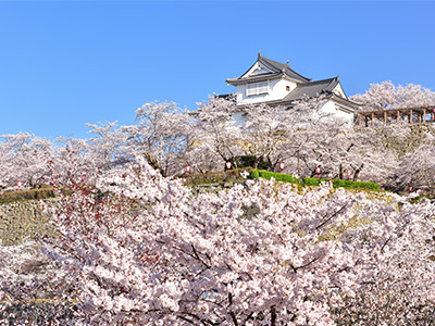 鶴山公園（津山城）の画像